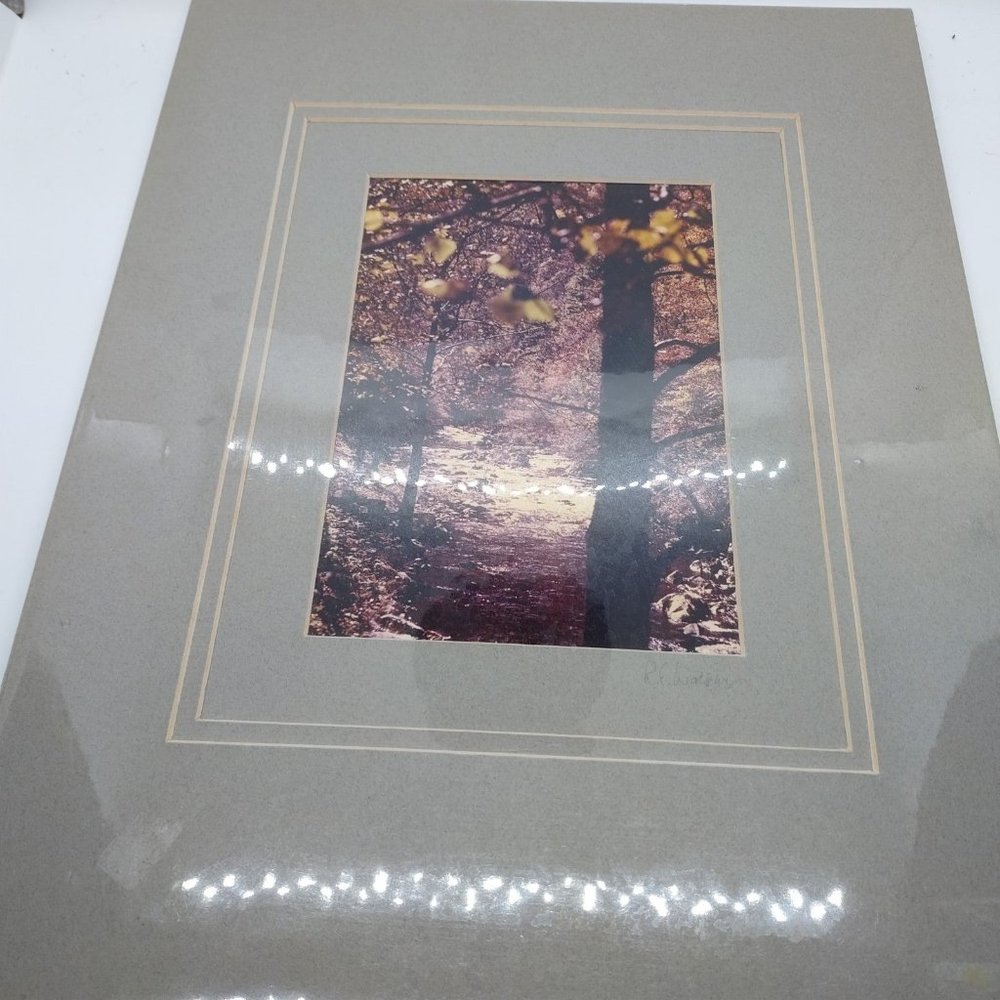 Photo Nature Trees Robert E Walker Venice Florida Signed Matted Sealed 5x7 sepia